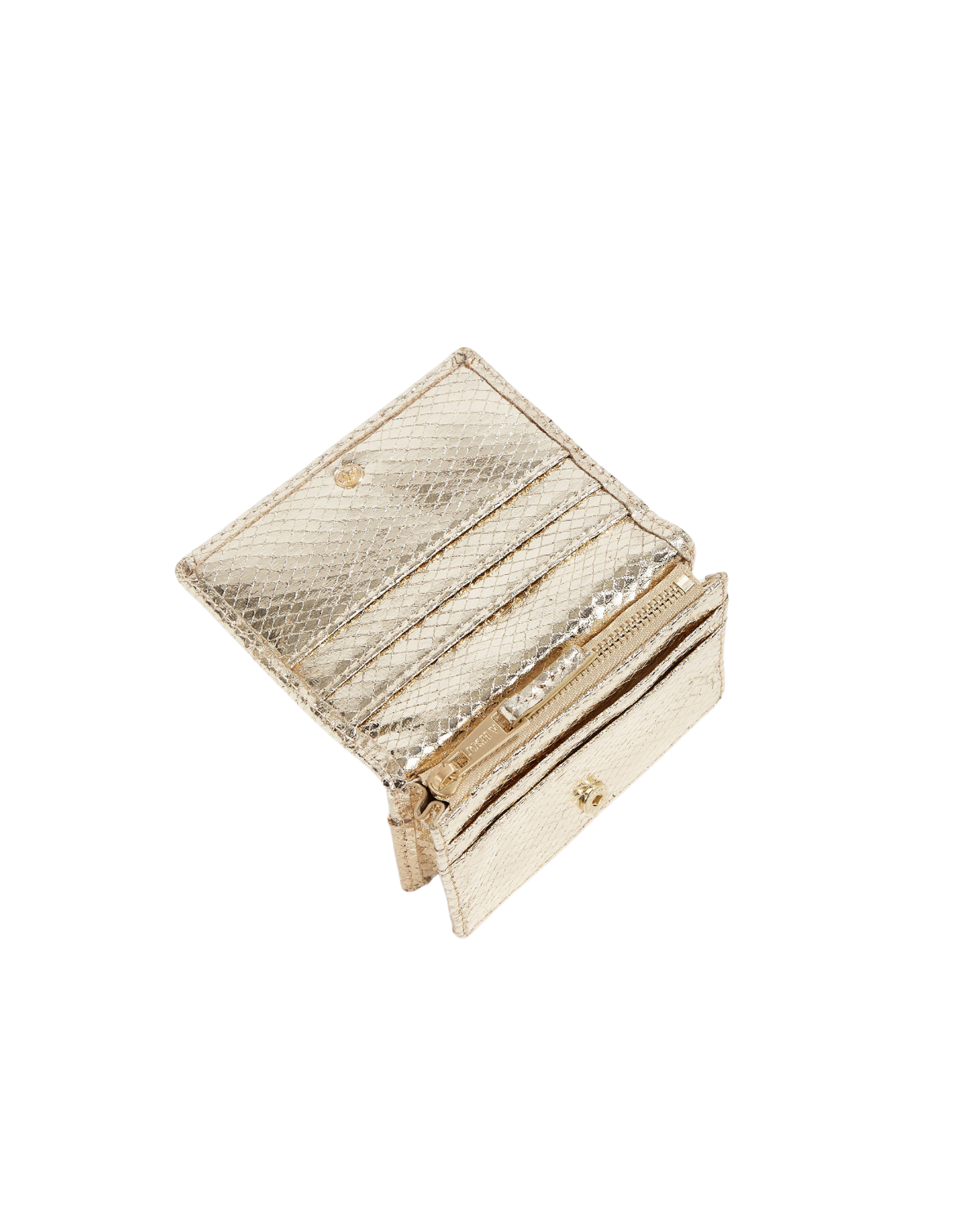 Josh V Synne Pung Champagne Metallic Levere